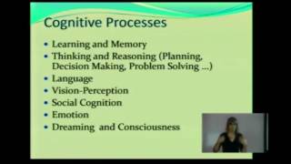 Cognition and Cognitive Processes CP [upl. by Nahbois]