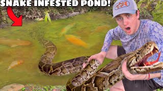 I Found a Pond INFESTED with Deadly Snakes [upl. by Nodle]