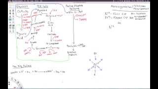 Cytochrome P450 oxidase enzyme function and cofactorsenzymes [upl. by Jorgan337]