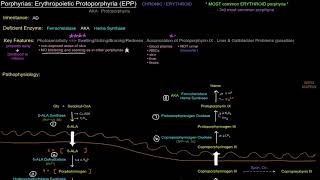 Porphyrias Erythropoietic Protoporphyria EPP free sample [upl. by Albemarle61]