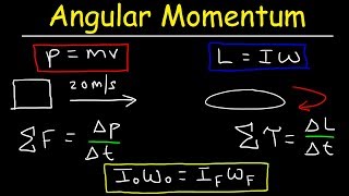 Angular Momentum  Basic Introduction Torque Inertia Conservation of Angular Momentum [upl. by Kcirej226]