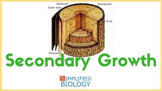 Secondary Growth for NEET AIPMT MCAT JIPMER AIIMS [upl. by Eile]