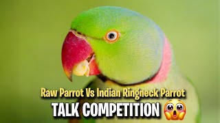 Raw Parrot Vs Indian Ringneck Parrot  Talk Competition [upl. by Namajneb]