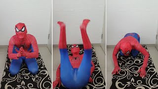 Video Spiderman Tiktok Lucu Bikin Ngakak ep2  Tiktok NukaandNiku shorts [upl. by Lemrahc]