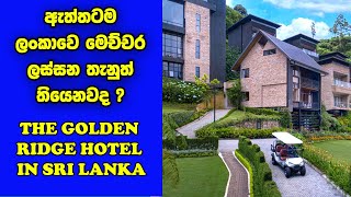 නුවර එළිය නවාතැන්  Hotels In Nuwara Eliya Sri Lanka  Golden Ridge Hotel Nuwaraeliya In Sri Lanka [upl. by Neirod]