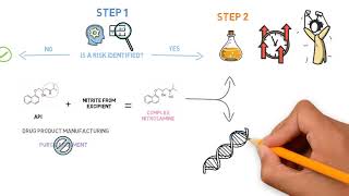 How to deal with complex nitrosamines [upl. by Beckie]