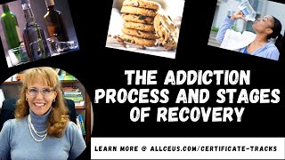 The Addiction Process and Stages of Recovery  Addiction Counselor Certification Training [upl. by Schober]