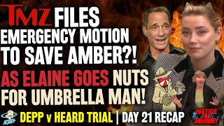 TMZ Files EMERGENCY Motion To Save Amber Heard as Elaine Goes Nuts 4 ThatUmbrellaGuy Trial Day 21 [upl. by Fagin]