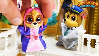 Paw Patrol Go Shopping at the Mall  Toy Learning Video for Kids [upl. by Inatsed443]