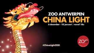 China Light ZOO 2014 [upl. by Leddy]