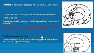 02HeadampNeckskull bone part 2 شرح اناتومي للدكتور احمد كمال [upl. by Chadd]