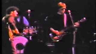 SNEETCHES  Cyril JORDAN  I Cant Hide Live 1991 Flamin Groovies [upl. by Stephens]