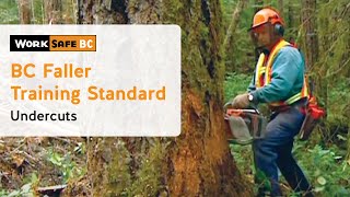 BC Faller Training Standard  Undercuts 8 of 17 [upl. by Enialahs]