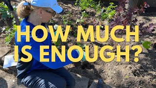 How Much Is Enough Im Changing My Approach To Gardening [upl. by Erret]