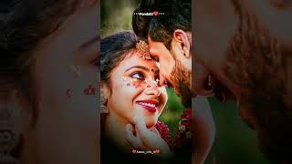 thaliye theva illa ❤️ nanthan un ponjathi 😍 ammu love lovesong tamilsong lovelyammu [upl. by Weasner]