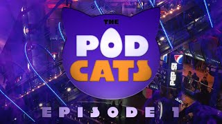 Welcome to Escalator World  The PodCats  Episode 1 [upl. by Iam661]