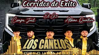 🎼🔥El Compa JoelAlbino QuinteroEl G3 Los Canelos de Durango🔥🎼Puro Corrido🥃🧊 [upl. by Combes]