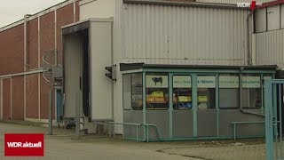 Kritik an Zuständen im Schlachthof Düren WDR aktuell [upl. by Mclain]