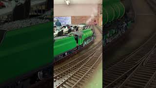 GSSU Gembrook Australia 8th10th November 202443 livesteaming train railwaymodeling modeltrain [upl. by Trammel873]