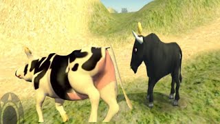 episode no 452cow and bull El pollito pio 3D LA granja de zenon canciones May 2024 [upl. by Engapmahc]