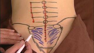 Anatomy Drawing of the Sacroiliac Ligaments [upl. by Nerrot]