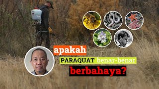 Fakta paraquat ep 1 AWAS PARAQUAT BERBAHAYA BAGI MAKHLUK HIDUP amp MANUSIA [upl. by Ruvolo]