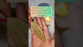 Harness the Power of Bay Leaf Manifestation amp Release  Manifest with Bay Leaves [upl. by Palumbo]