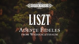 Liszt Adeste Fideles – Daniel Grimwood [upl. by Hollenbeck]