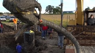 Woolly Mammoth Bones Uncovered in Michigan [upl. by Akeihsat]