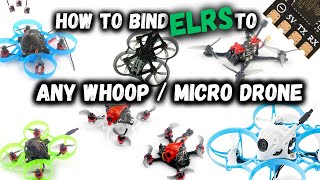 How To Bind Any amp ALL Whoop amp Micro Drones To ELRS  Your Complete SetUp Guide  ExpressLRS [upl. by Sells]