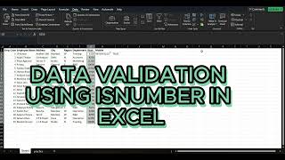 DATA VALIDATION USING ISNUMBER FUNCTION IN EXCEL [upl. by Siramad]