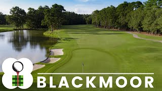 Blackmoor Golf Club [upl. by Aknayirp]