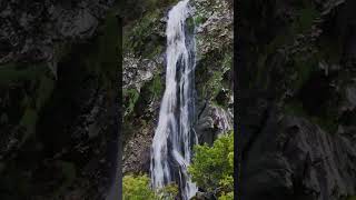 Powerscourt Waterfall Wicklow Mountains 🥾 [upl. by Nerwal298]