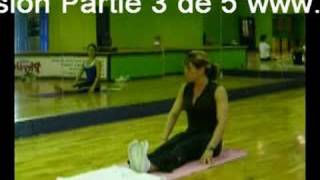 Exercices Yoga Pilates en Fusion Partie 3 de 5 Cours en Direct [upl. by Naujat]