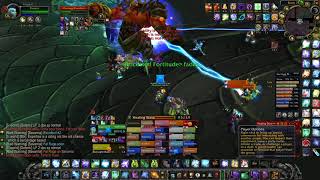 Gurtogg Bloodboil BT  Netherwing TBC  Rsham PoV [upl. by Ervine]