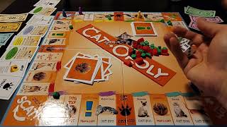 How to play the CATOPOLY game [upl. by Boyse938]