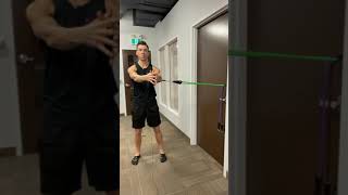 Torso Rotation with Resistance Bands  Home Workout [upl. by Noirred273]