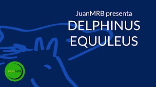 Constelación de Delphinus y Equuleus  JuanMRB [upl. by Mosby]