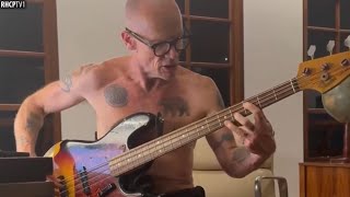 Flea Playing Jaco Pastorius Incredible [upl. by Letisha]