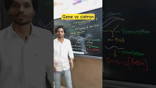 Gene Vs Cistron by fanesh sir k2institute shorts biology [upl. by Gile]