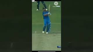 Cricket tik tok video cricket dhoni [upl. by Trembly]