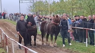 Uparena grla Mirhada Gverića i Samira Aličića [upl. by Kreg]