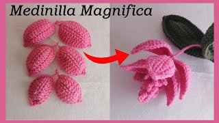 Part2 Crochet Medinilla Magnifica Petals [upl. by Novled]