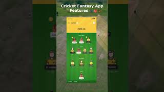 Cricket fantacy app features 🏏 🏟 🏏 cricket appdevelopment livescores [upl. by Aiblis655]