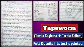 Tapeworm  Taenia Saginata  Taenia Solium   Tapeworm  Morphology Eggs Life cycle and Diagrams [upl. by Ebonee334]