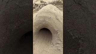 🏰🏖️ Sandcastle Adventures by the Shore Lignano Sabbiadoro Italy  🌊🌟 beachlife [upl. by Mccord]