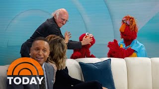 Why Larry David is apologizing to Elmo [upl. by Eladnar]