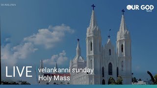 velankanni live mass today  velankanni live [upl. by Alyks]