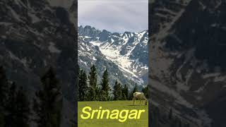 Srinagar top 5 places to visit Srinagar Dal lakesrinagar ghumne wali jagah [upl. by Asilahs]