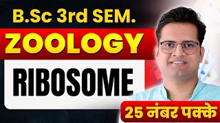 RibosomesBSc 3rd Semester ZoologyBe DKDian [upl. by Digdirb]